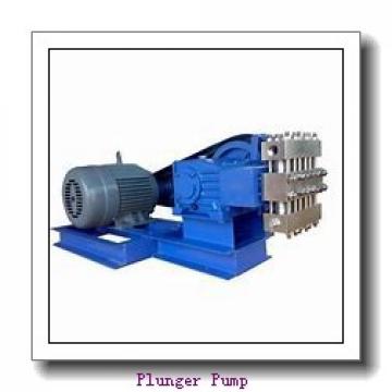 Hydraulic pump CBN-F306-CFLH