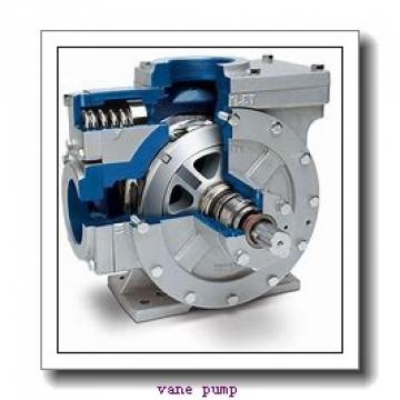 VCM low pressure vane pump