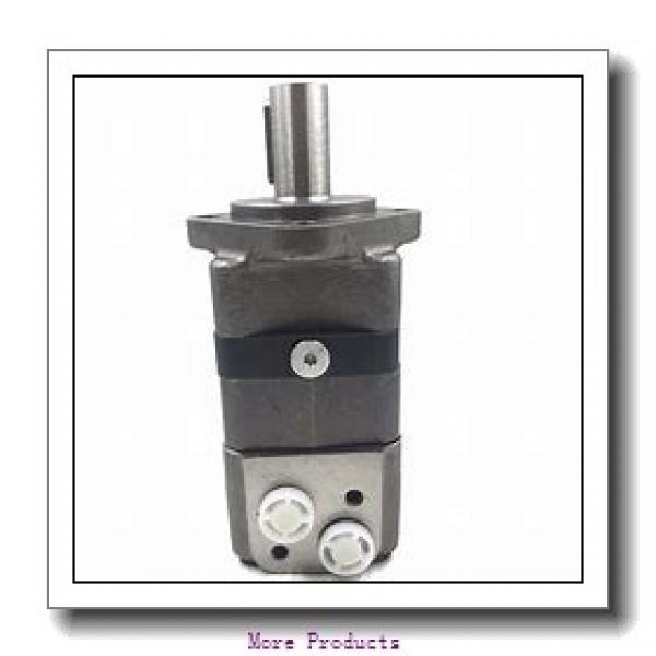 Cheap hydraulic double gear pump #1 image