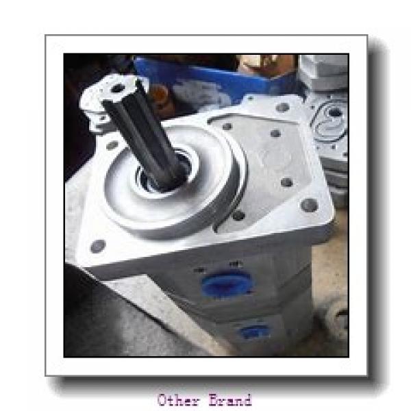 CBN-E306/E306;CBN-E310/E306;CBN-E314/E310 Double CBN Hydraulic Gear Pump #1 image