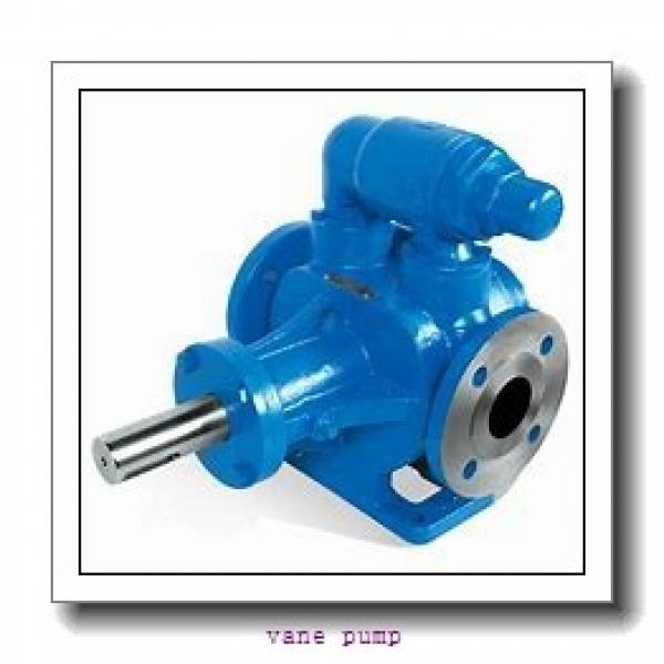 SQP1/3/4 single hydraulic vane pump #1 image