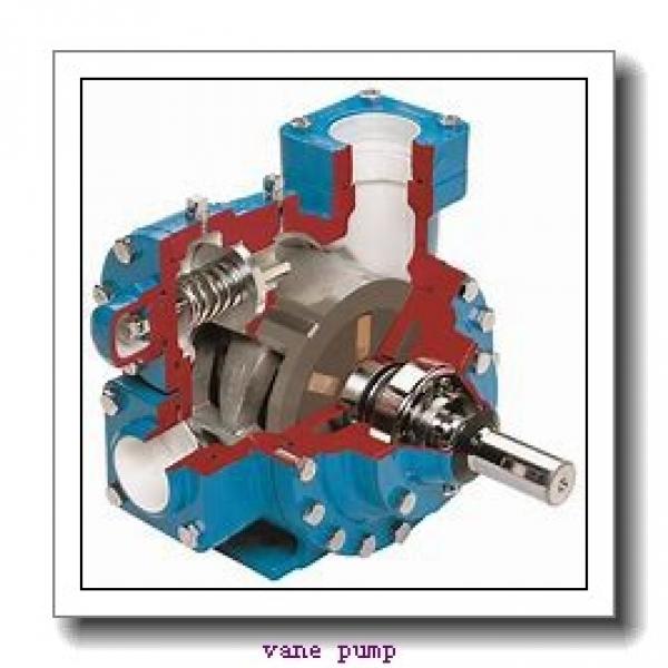 16C-012-1R00A1 hydraulic pump #1 image