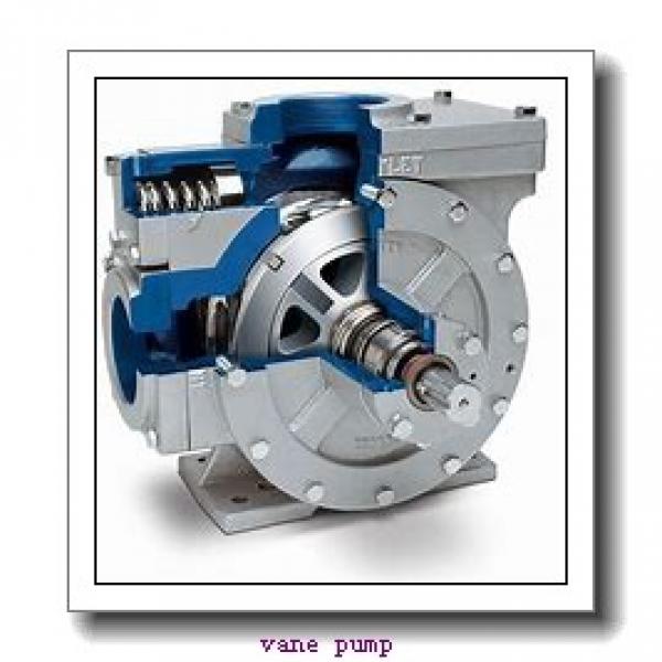 3525VQ vickers type double hydraulic vane pump #1 image