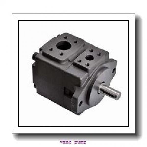 Customized piston pump P16V variable high pressure hydraulic pump #1 image