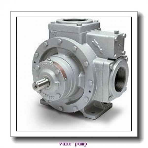 ANSON IVP32 single and double quantitative variable vane pump #1 image