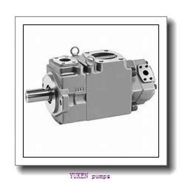 top quality YUKEN hydraulic pump EFBG-03-125 #2 image